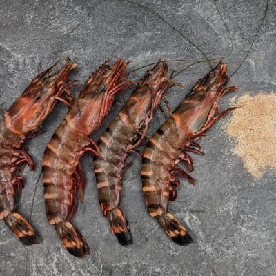 Tiger prawn